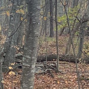 Meet your Posher, Nathan